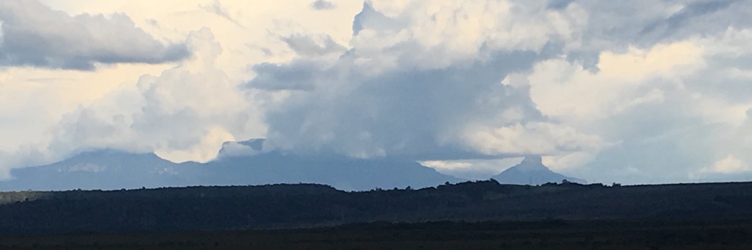 MaElisaCastillo's profile banner image