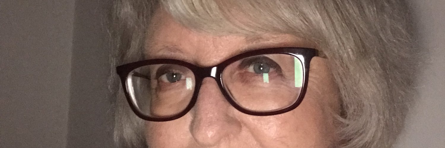 Sue Thomas 🌹🇺🇦🇪🇺 banner