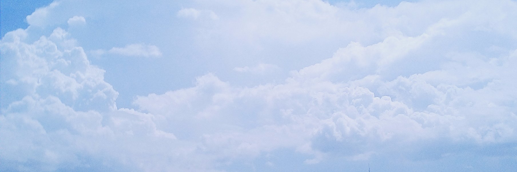 Allrinn's profile banner image