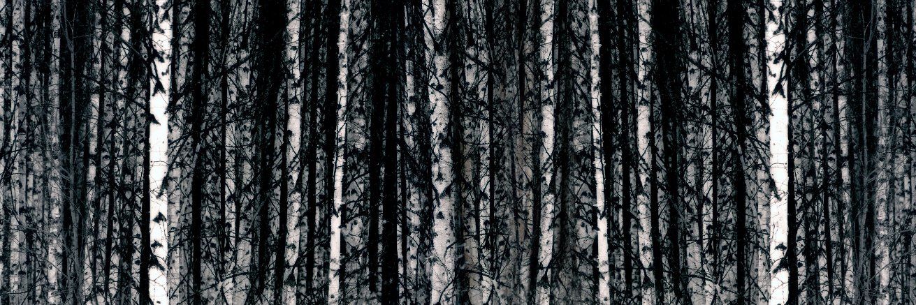 AccelrandoAI's profile banner image