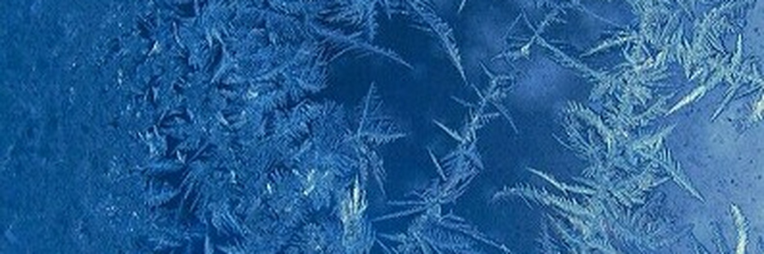 laparka_78596's profile banner image