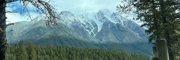 APTNNews Profile Banner