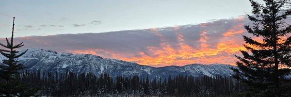 APTNNews Profile Banner