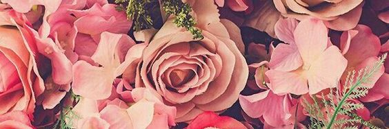 maria_eac's profile banner image