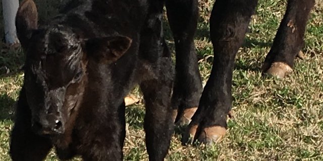 cmac1919's profile banner image