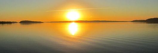 jiezz vodkabilly™ banner