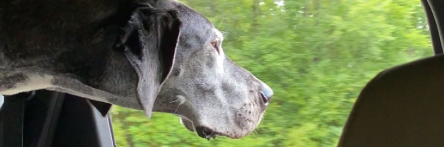 cameronnjackson's profile banner image