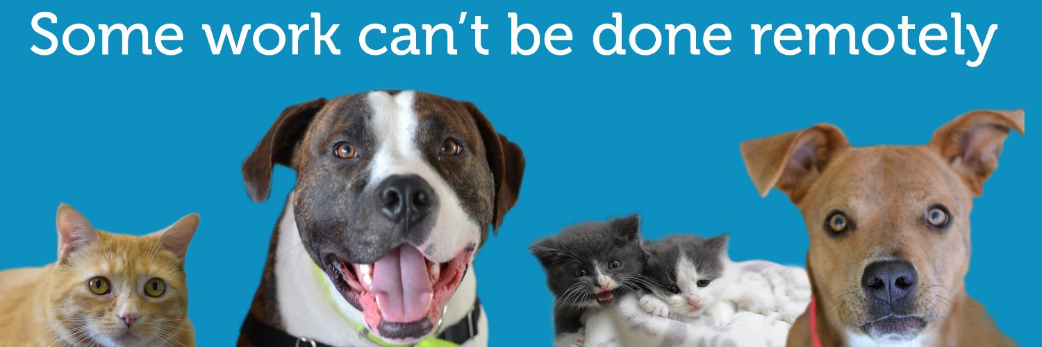 Dutchess County SPCA banner