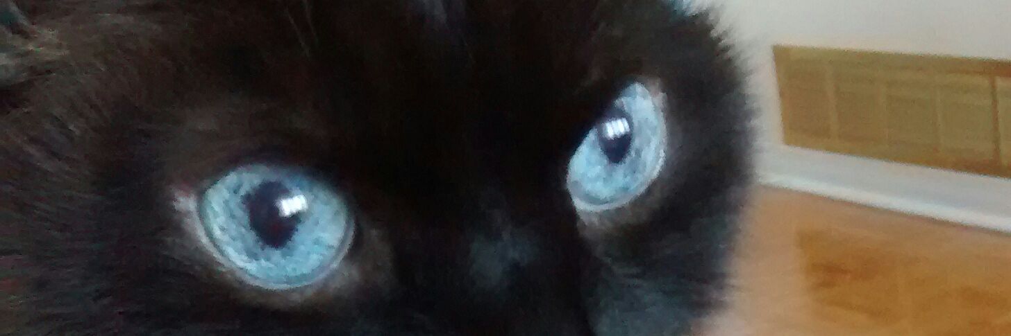 pmer1's profile banner image