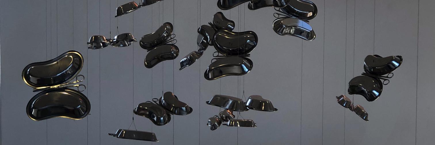 Deric du Plessis banner