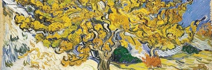 Mercedes De Freitas banner