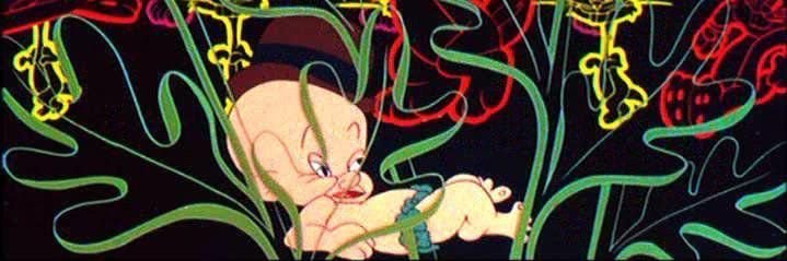 ohms___'s profile banner image