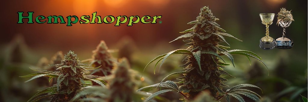 Hempshopper's profile banner image