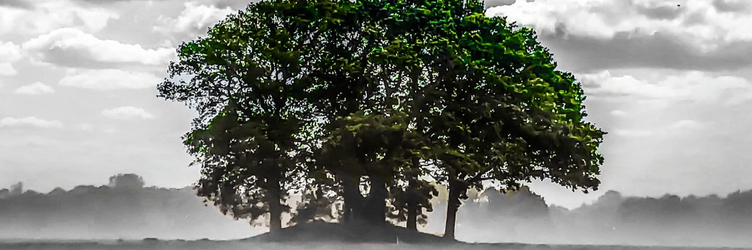SuperJeltje's profile banner image