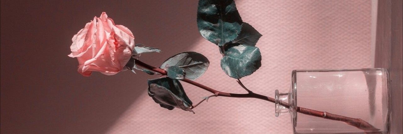 ugurtrkoglu's profile banner image