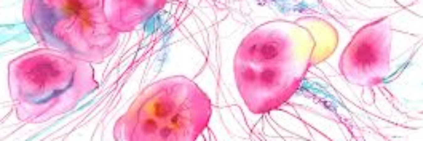 danabakerc's profile banner image