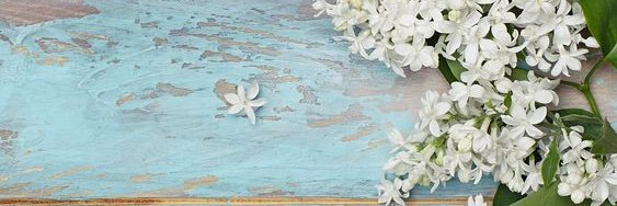 ArielaSalvati's profile banner image