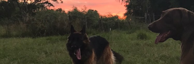 gimenezjcg's profile banner image