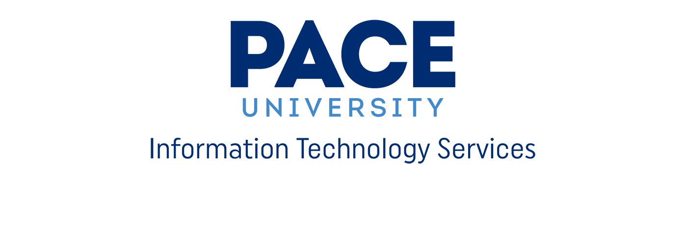 Pace University ITS banner