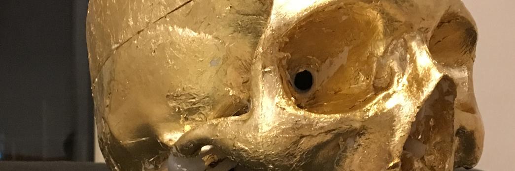 the_third_ear's profile banner image
