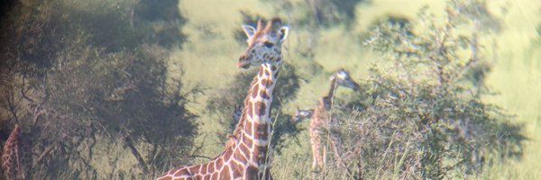 zeevym Profile Banner