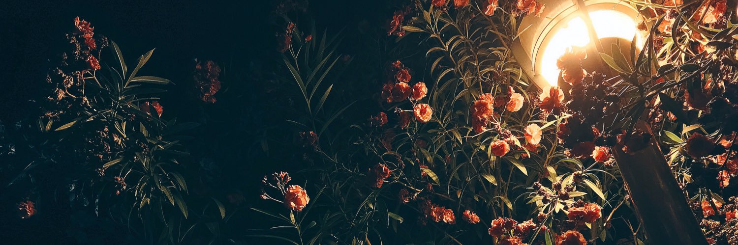 alexjake_'s profile banner image