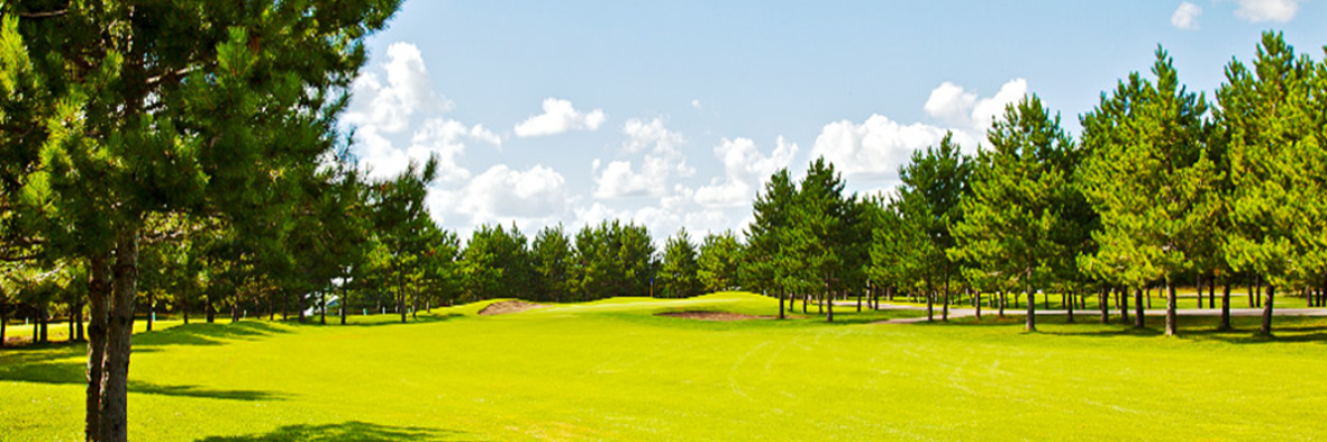 ThumperPond's profile banner image