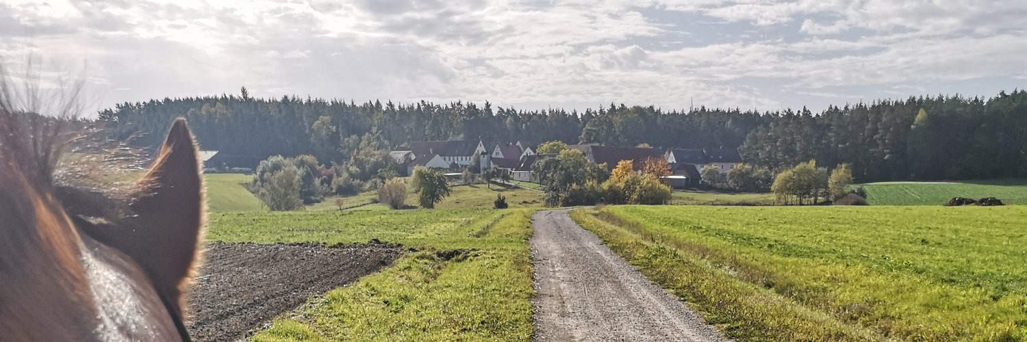 martacki's profile banner image