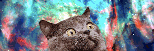 Rarezx's profile banner image