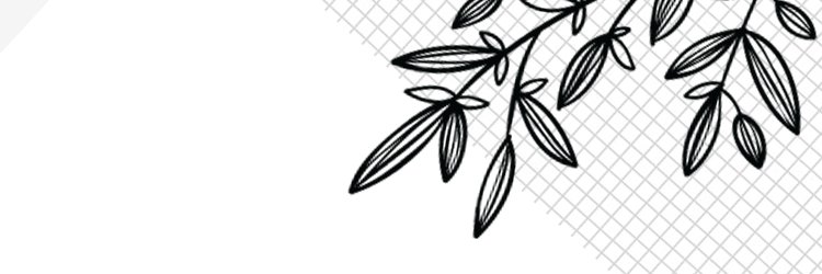 andrea_codes's profile banner image