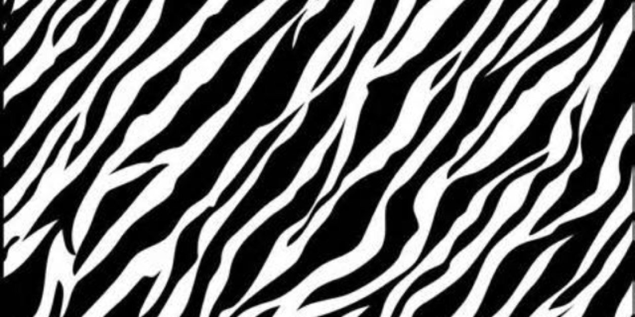 ellzfadays's profile banner image