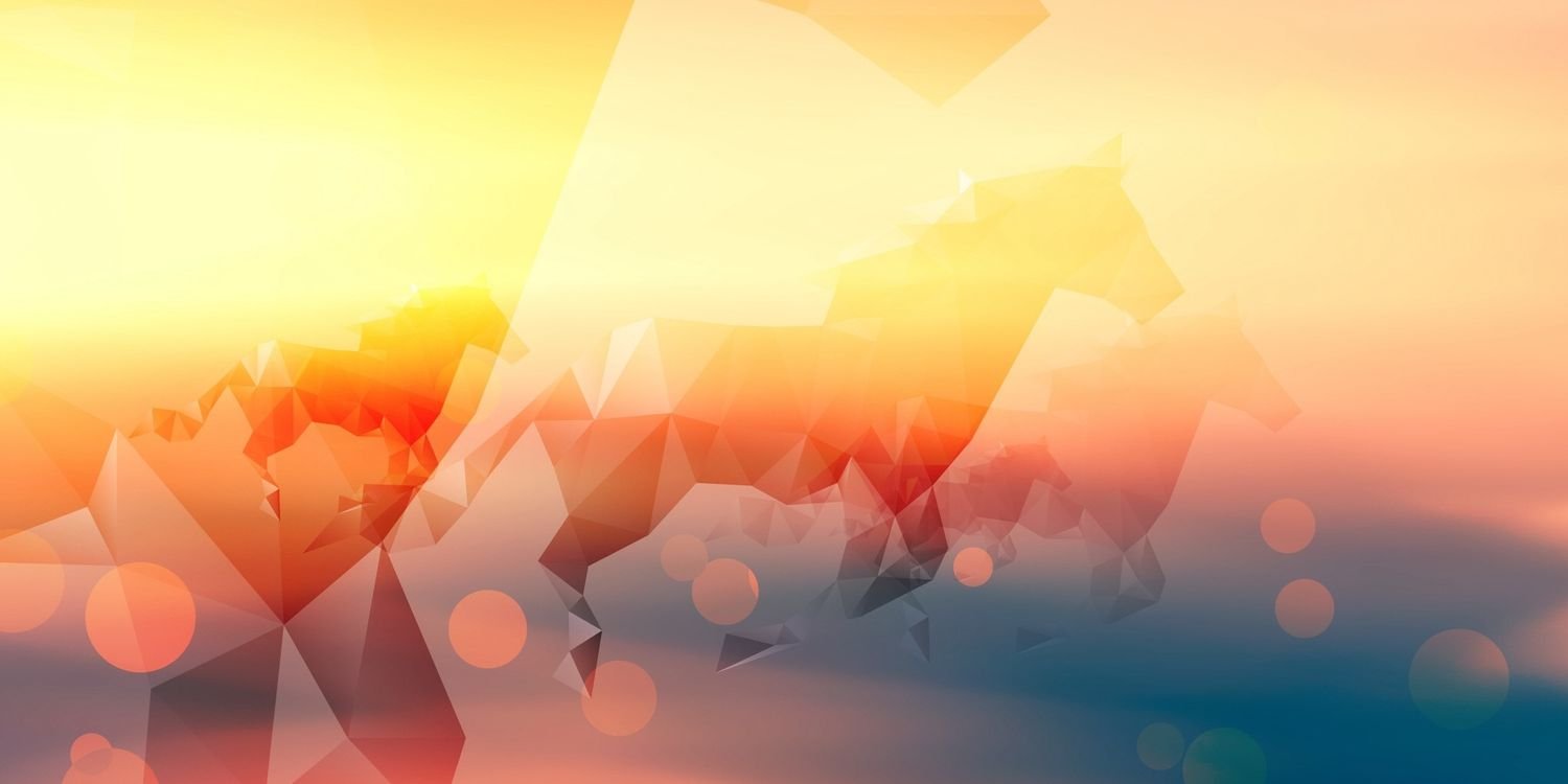 RodrigoSarzosa's profile banner image