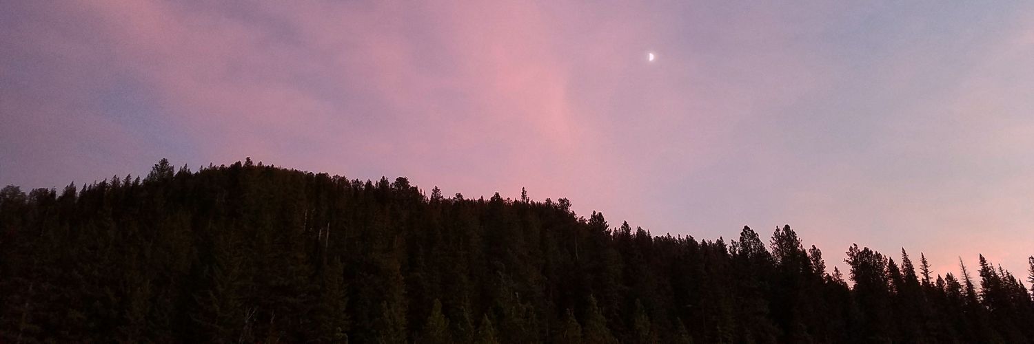whooooacourtney's profile banner image