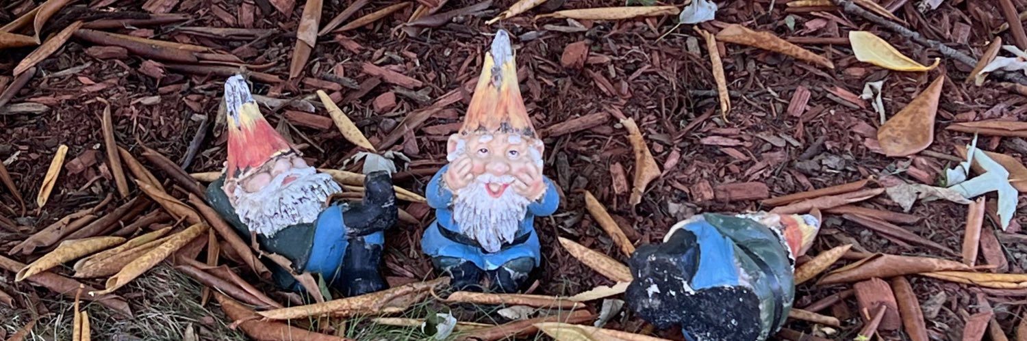 majorundecided's profile banner image