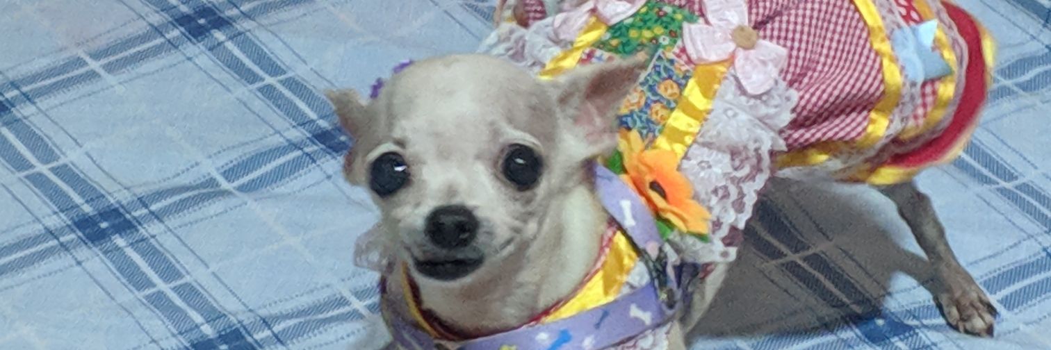 felipeemra's profile banner image