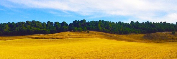 ignmun Profile Banner