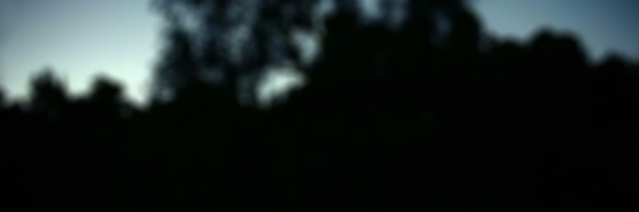 Ardoshk's profile banner image