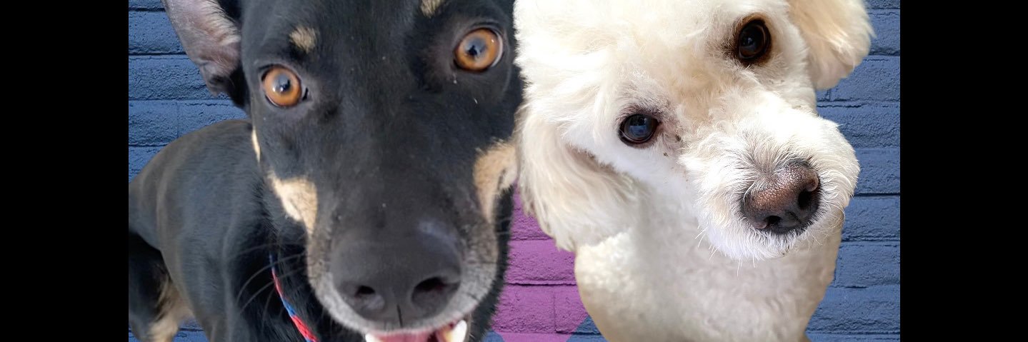 Mildred_av's profile banner image