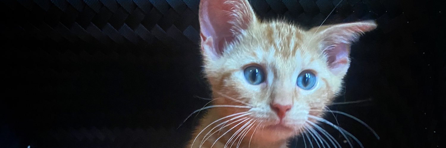 MelisseEmily's profile banner image