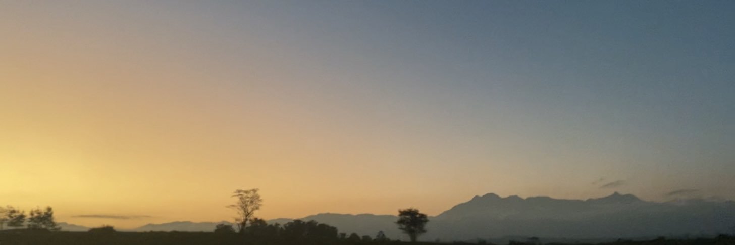 paulahmello's profile banner image