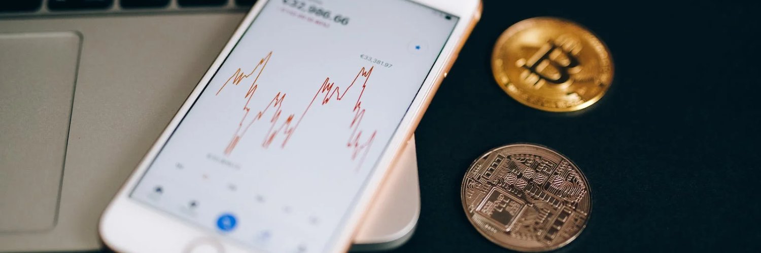 Mariana Fernandes banner