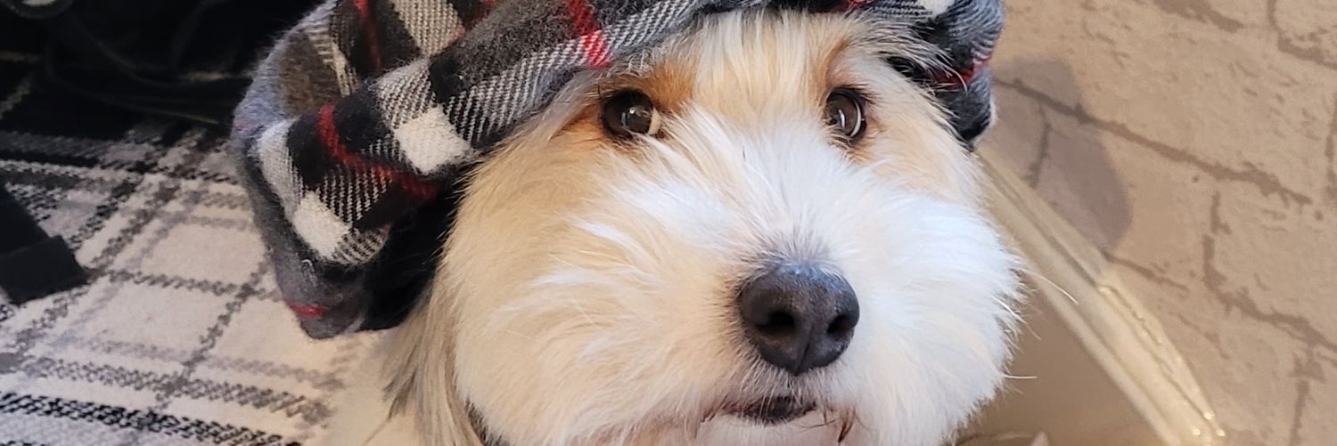 BUDDYHe11's profile banner image