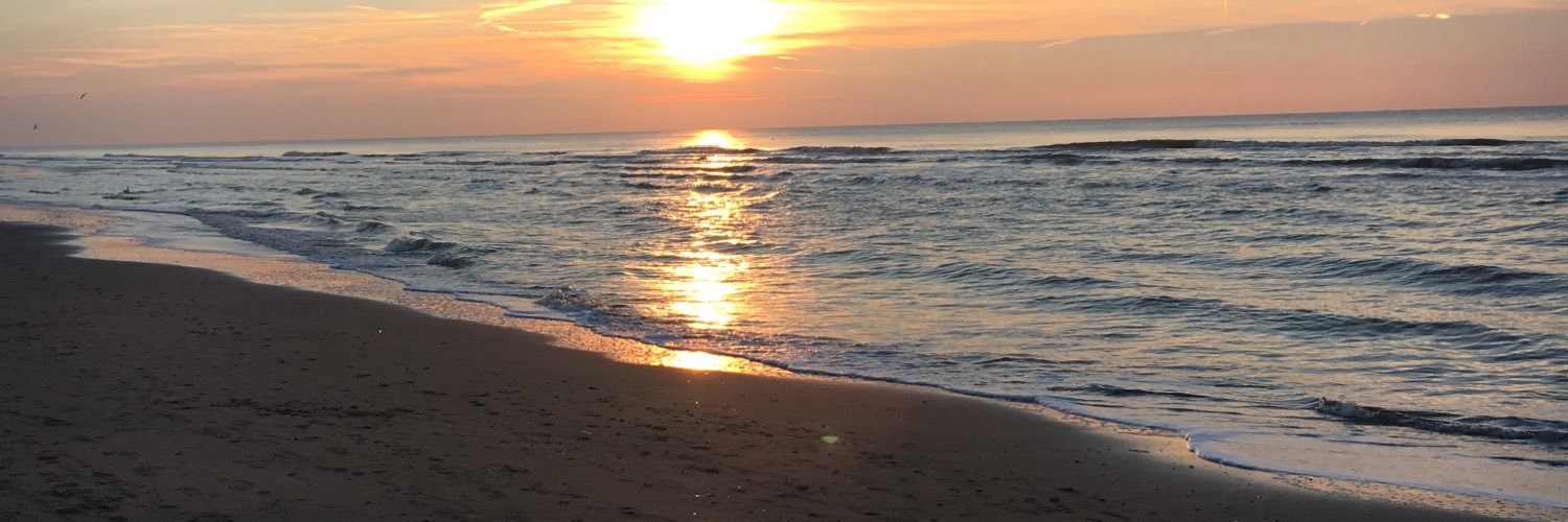 corinehop's profile banner image
