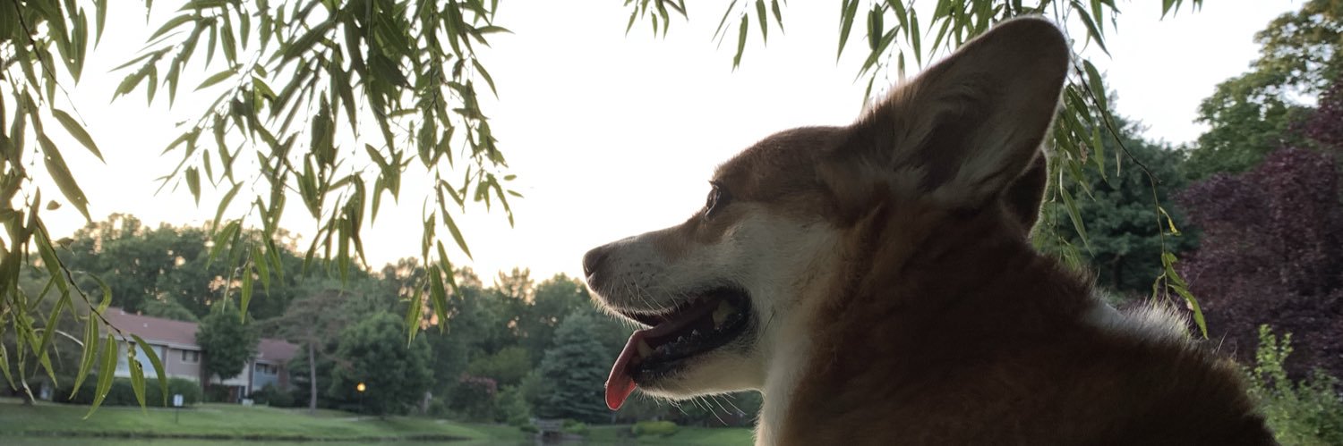 JessicaLRicci's profile banner image
