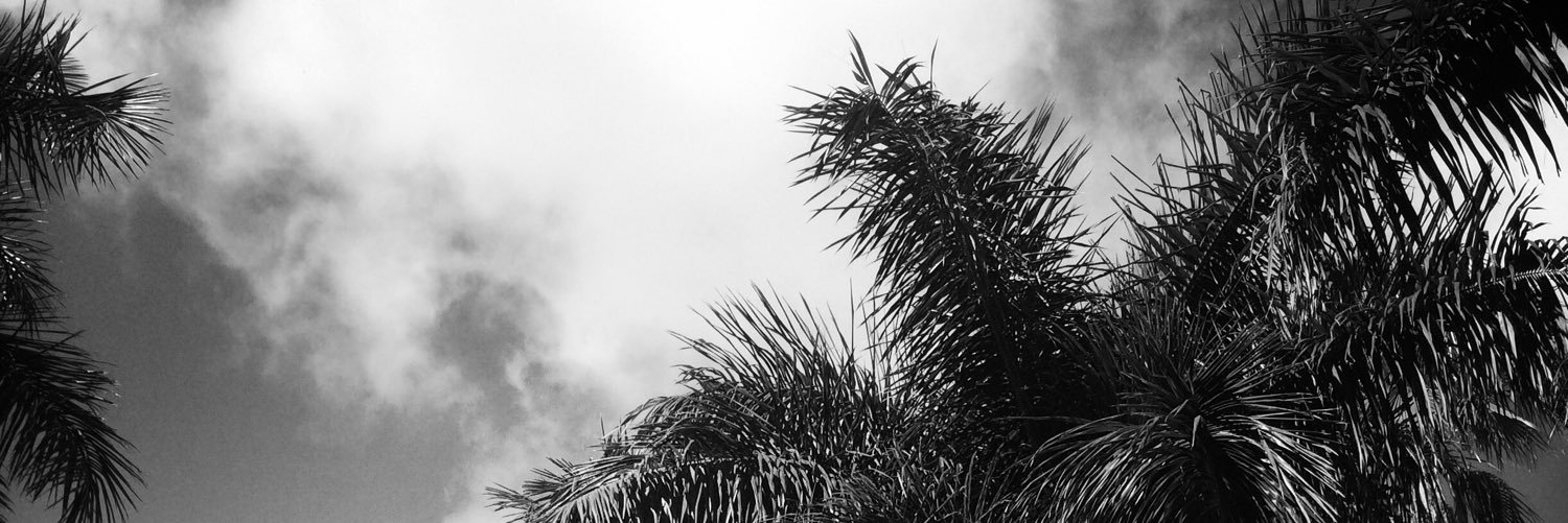 jamesleach_'s profile banner image