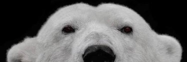 Slider7285's profile banner image