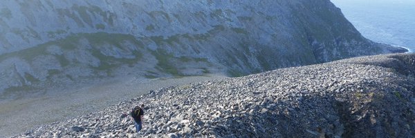 palkoni Profile Banner