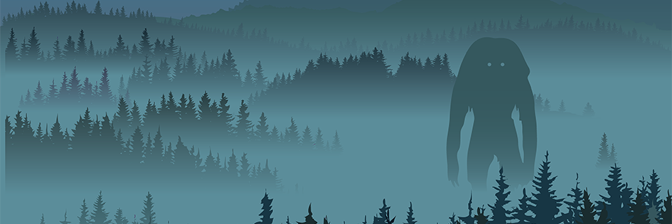 Stine Lilloe-Olsen banner