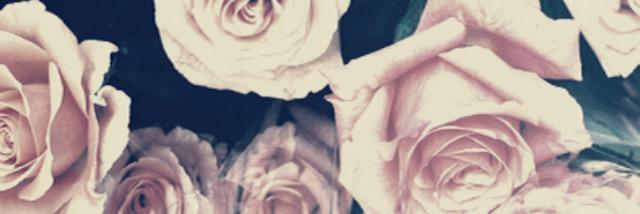 Estef_ness's profile banner image