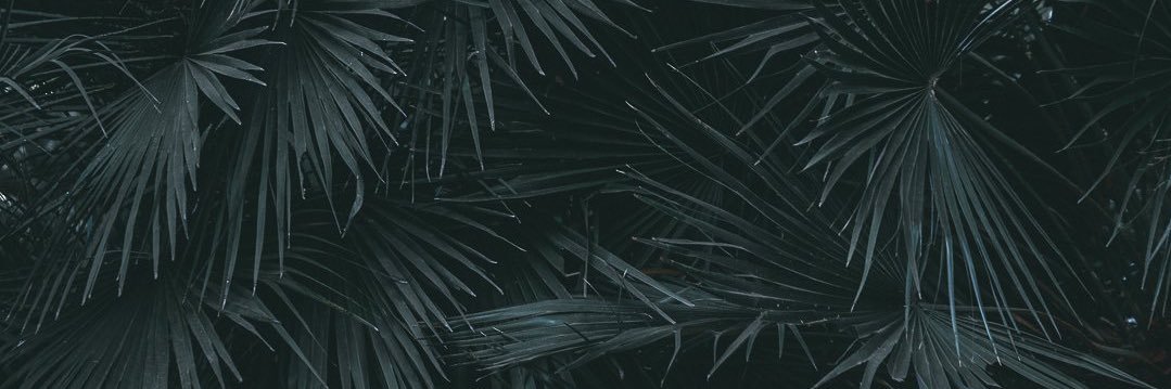 sa5mrdgz's profile banner image